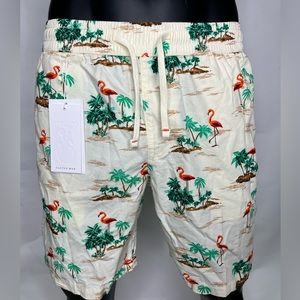 Cactus man flamingo Beach shorts